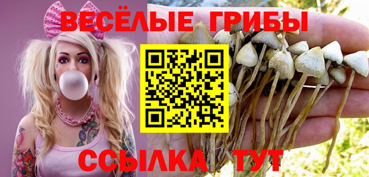 Галлюциногенные грибы мицелий Благовещенск